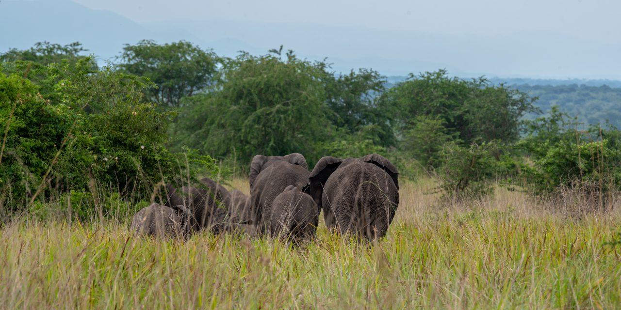 discover-uganda