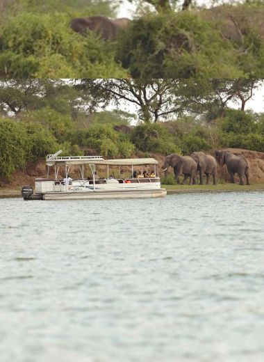 boat-cruise