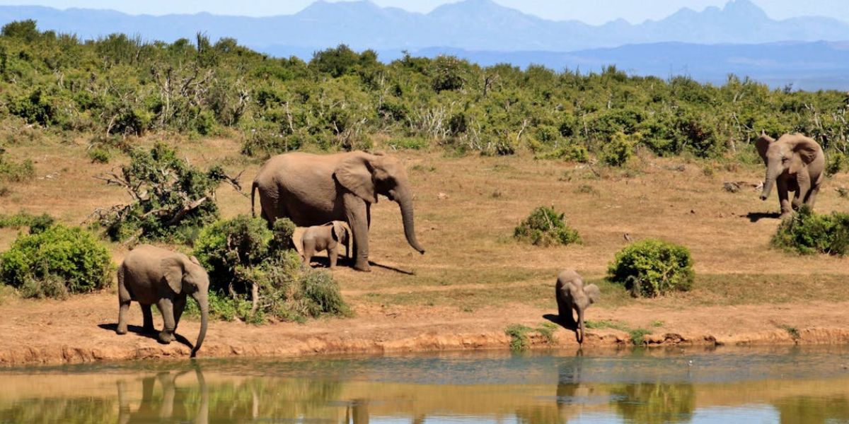 murchison-falls-national-park