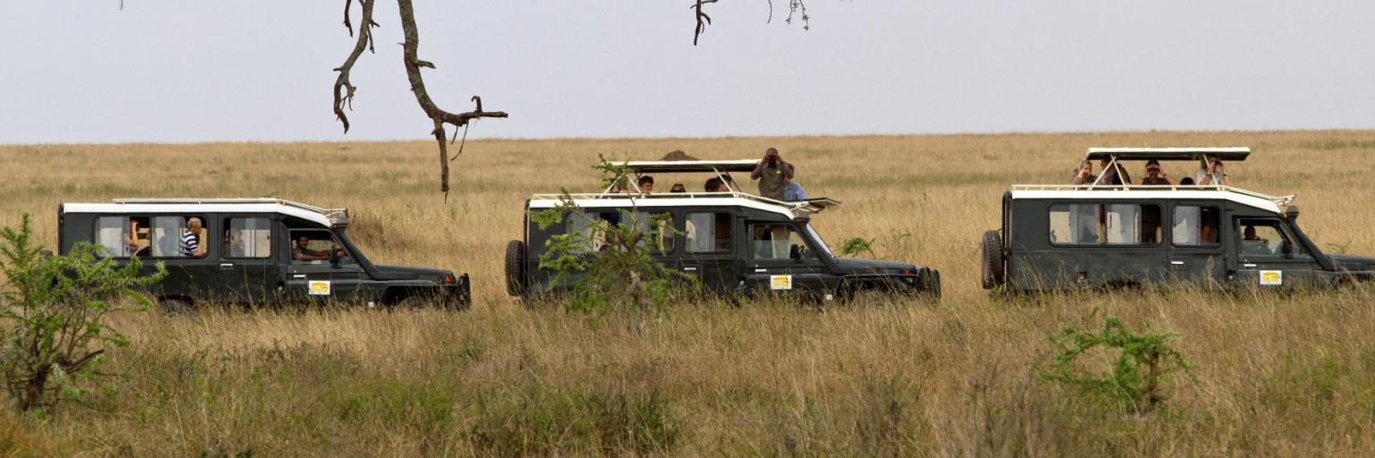 safari-vehicle