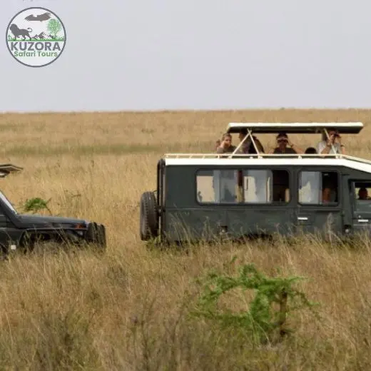 game drive Uganda