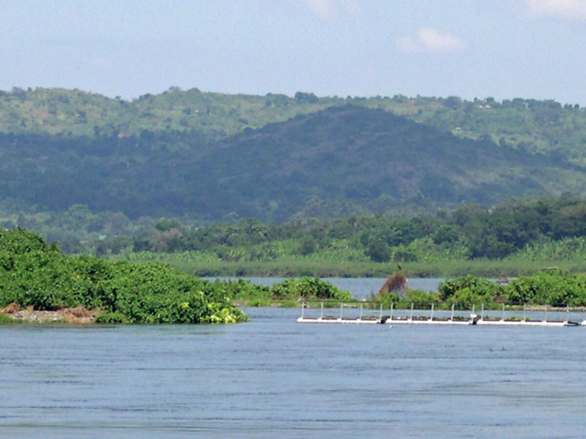 murchison