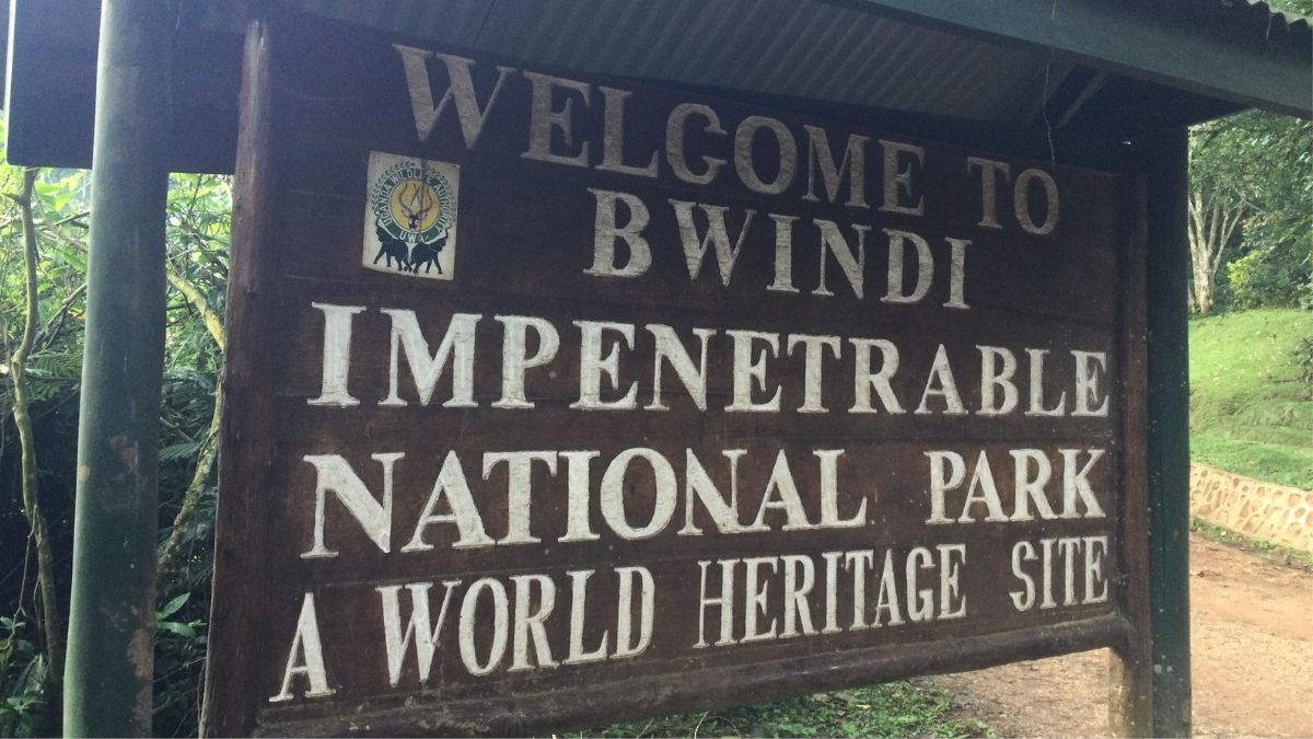 Bwindi Impenetrable National Park Poster by UWA welcoming tourists to the park 
