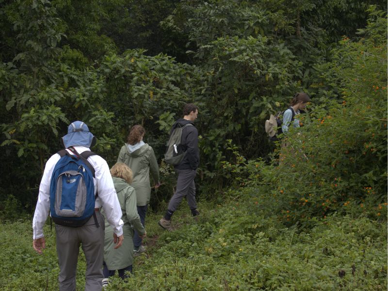 best time to visit Uganda for safari gorilla trekking in Bwindi