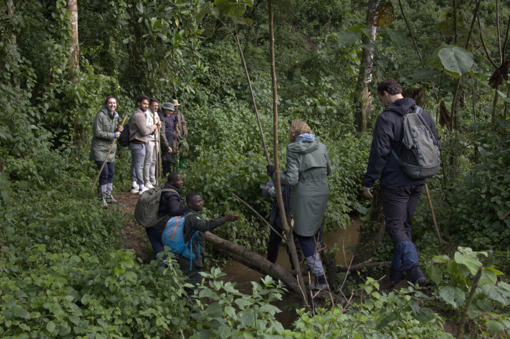 Day 5 Bwindi Gorilla Trekking Safari Experience