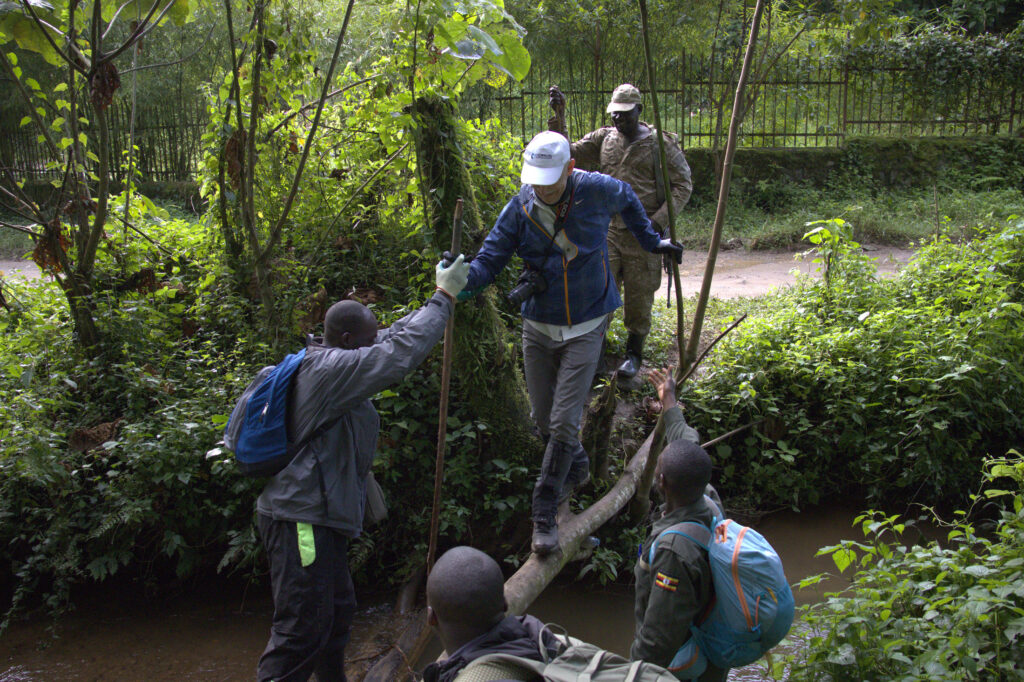 Day 5 Bwindi Gorilla Trekking Safari Experience