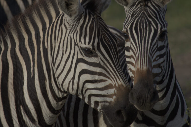 Lake Mburo National Park
