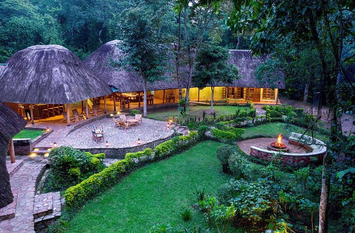 Primate Lodge Outside View